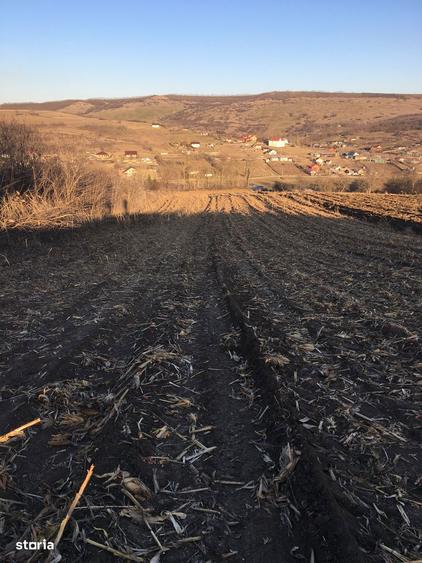 Teren de 10500 mp, în Aroneanu