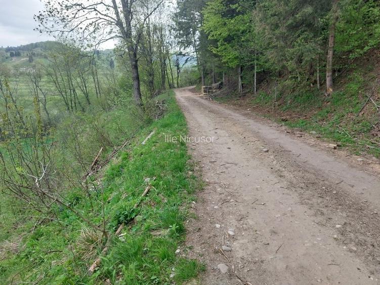 Teren intravilan agricol