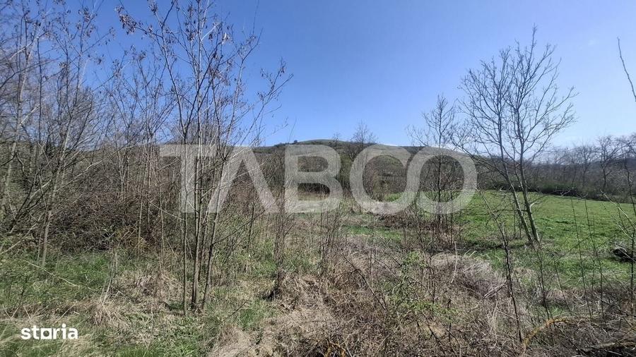 Spațiu comercial, în Ruși