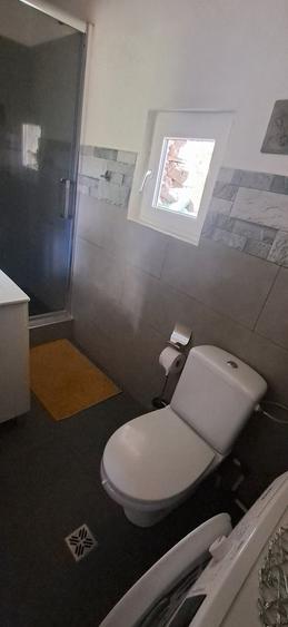 Casă cu 3 camere în Borșa