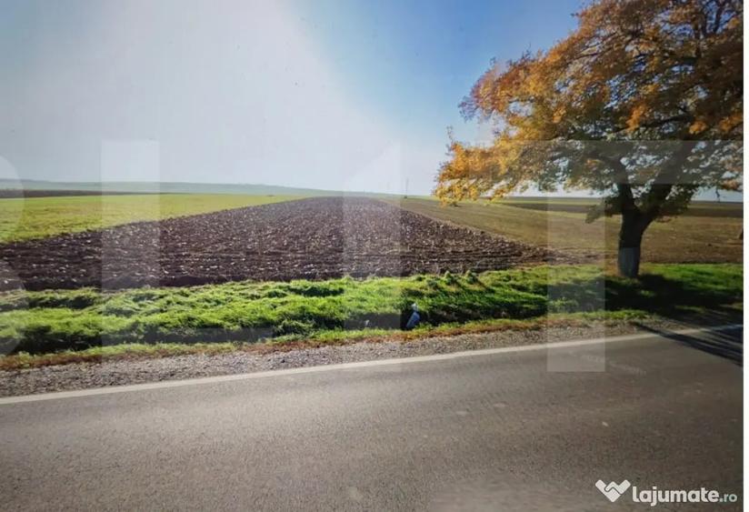 Teren în Brăești