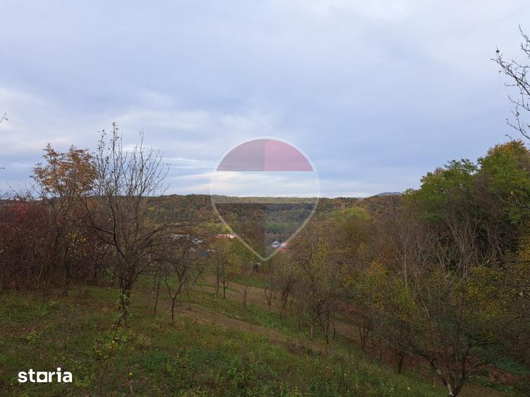 Teren de 3500 mp, în Vărbila