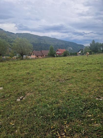 Teren de 1500 mp, în Moieciu
