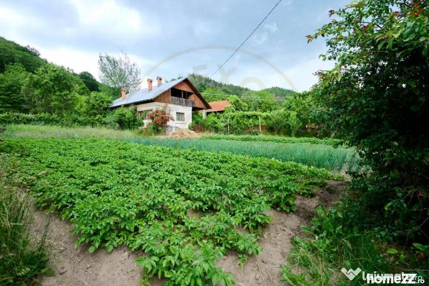Casă cu 3 camere cu Teren 4696 Mp în Central