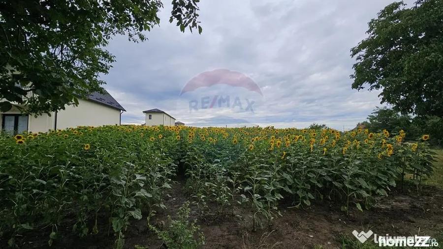 Teren în Lisaura
