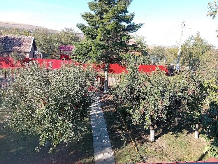 Casă cu 4 camere cu Teren 5800 Mp în Bărboși