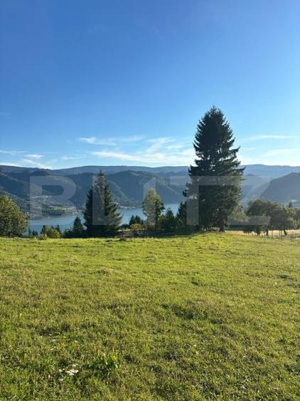 Teren de vânzare în Colibița – oportunitate de investiție - 1