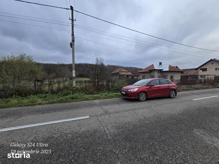 Teren de 5000 mp, în Merișani