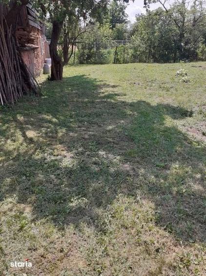 vanzare teren cu casa in terezian - 4