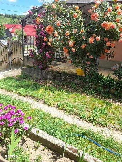 Casă cu 5 camere cu Teren 1400 Mp în Bonț