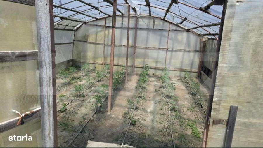 Casă cu 4 camere cu Teren 1128 Mp în Provița de Jos
