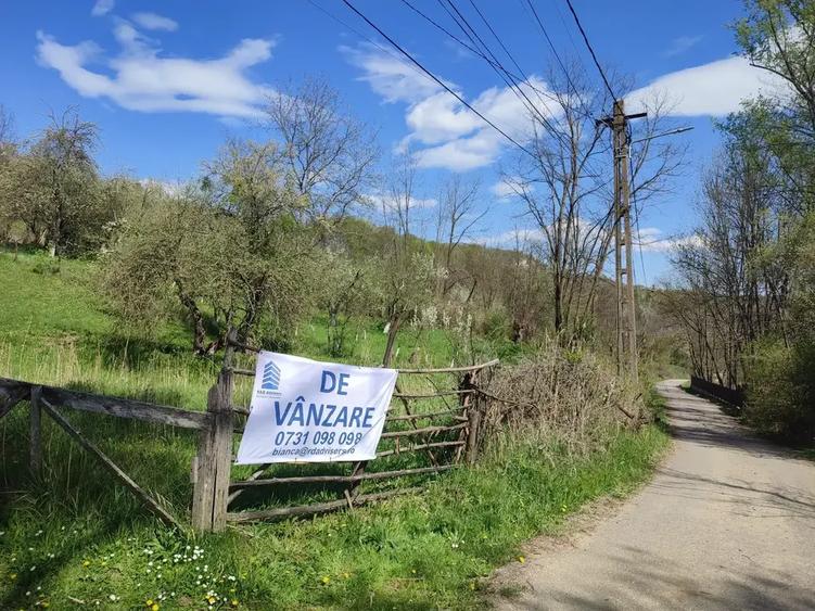 Teren intravilan de 1200 mp, în Provița de Sus