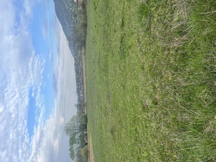 Teren de 5400 mp, în Copalnic
