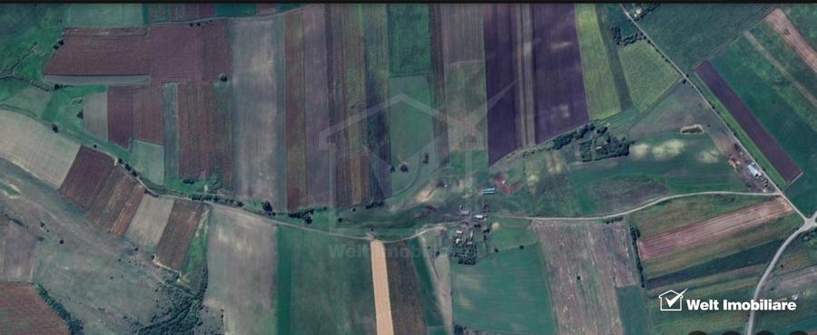 Teren intravilan de 78200 mp, în Frata