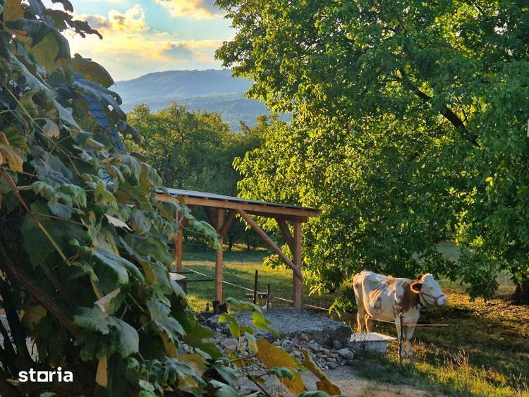 Casă cu 7 camere cu Teren 13755 Mp în Ocna Șugatag