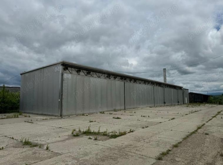 Teren Construcții intravilan de 24152 mp, în Târgu Lăpuș