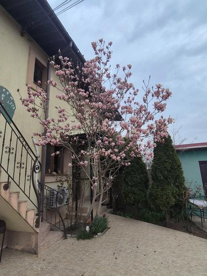 Casă cu 3 camere cu Teren 255 Mp în Central
