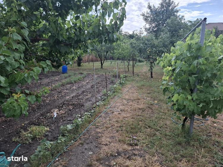Casă cu 3 camere cu Teren 1200 Mp în Pârneava