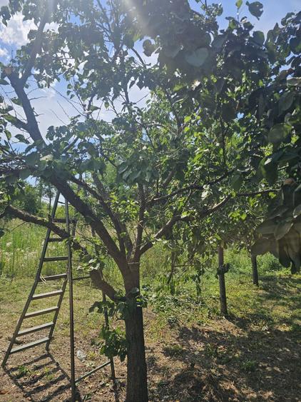 Casă cu 3 camere în Sărățeni