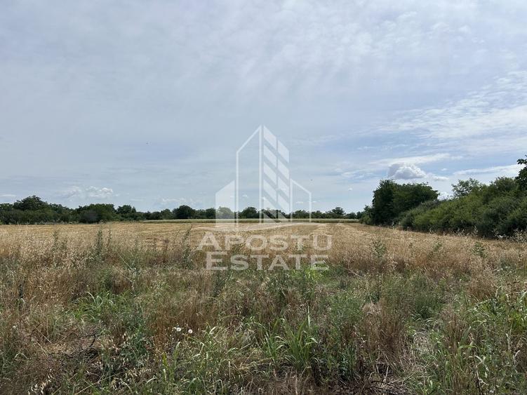 Teren Construcții intravilan de 2248 mp, în Parța