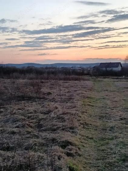 Teren de 10000 mp, în Merișor