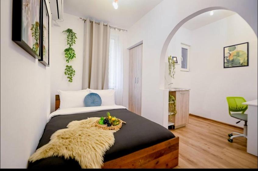 Apartament cu 2 camere semidecomandat în P-ța Romană