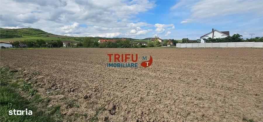 Spațiu comercial, în Ighiu