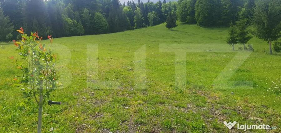 Casă cu 2 camere cu Teren 30000 Mp în Central