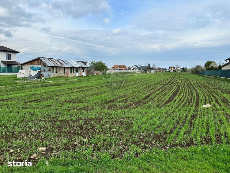 Teren de 3172 mp, în Târgșoru Vechi