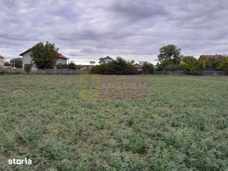 DE VANZARE TEREN 2000 MP - COSERENI( il ) - 10