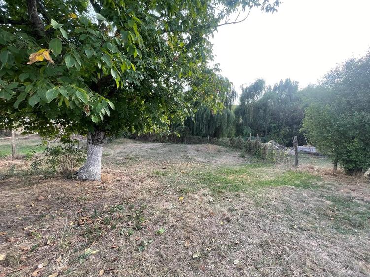 Casă cu 3 camere cu Teren 2100 Mp în Teișori