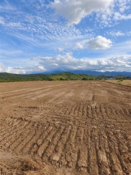 Teren agricol extravilan de 7700 mp, în Periferie