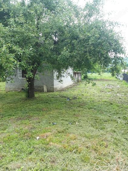 Teren de 3000 mp, în Dumbrăvița