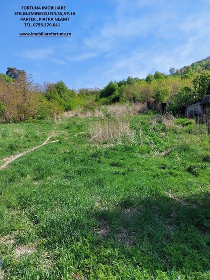 Teren Construcții intravilan de 1800 mp, în Dărmănești