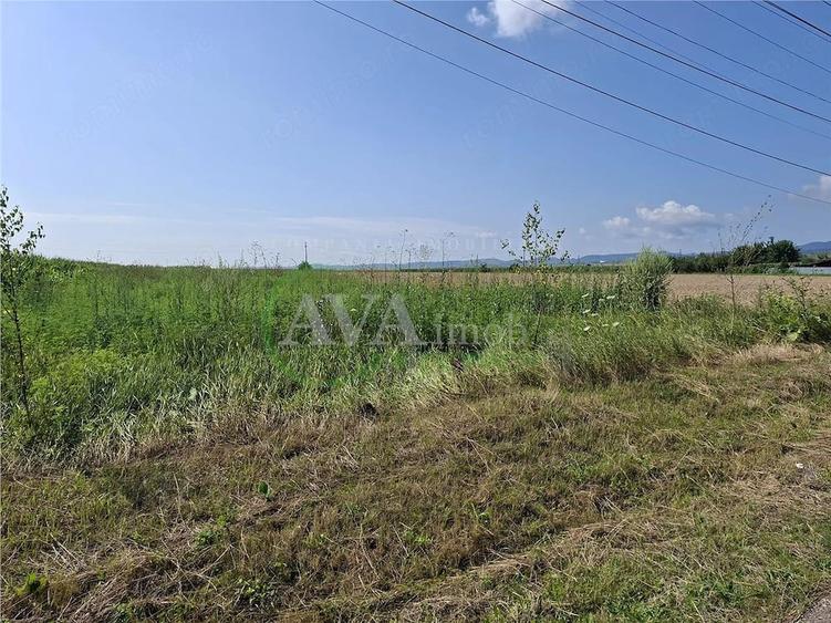 Teren de 1600 mp, în Central
