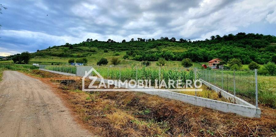 Teren Construcții intravilan de 2500 mp, în Livezeni