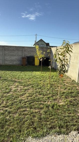 Casă cu 3 camere în Central