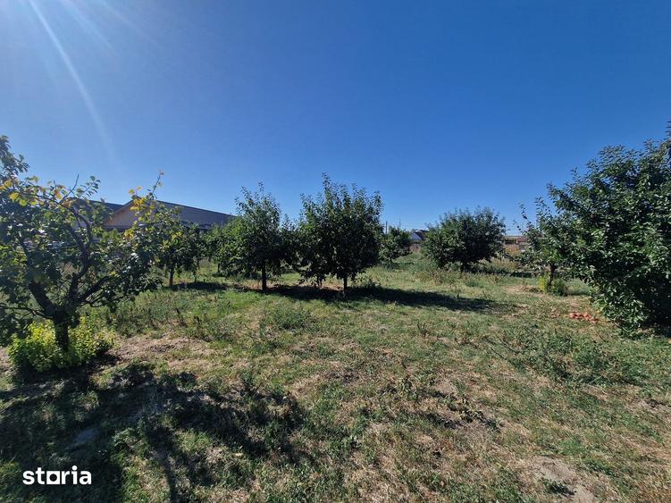 Teren de 1677 mp, în Cogealac
