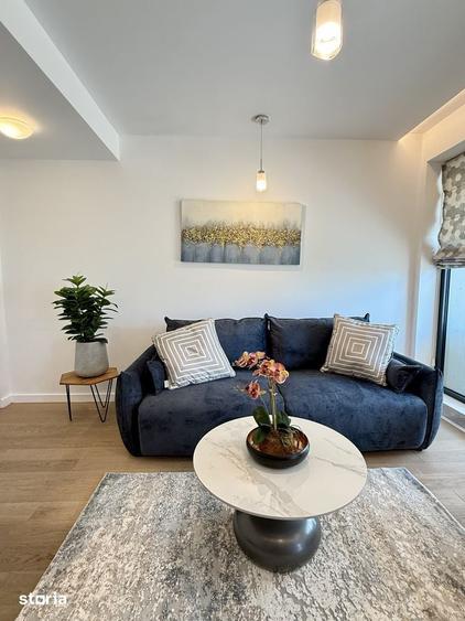 Apartament cu 2 camere de inchiriat // ONE Herastrau Plaza - 6