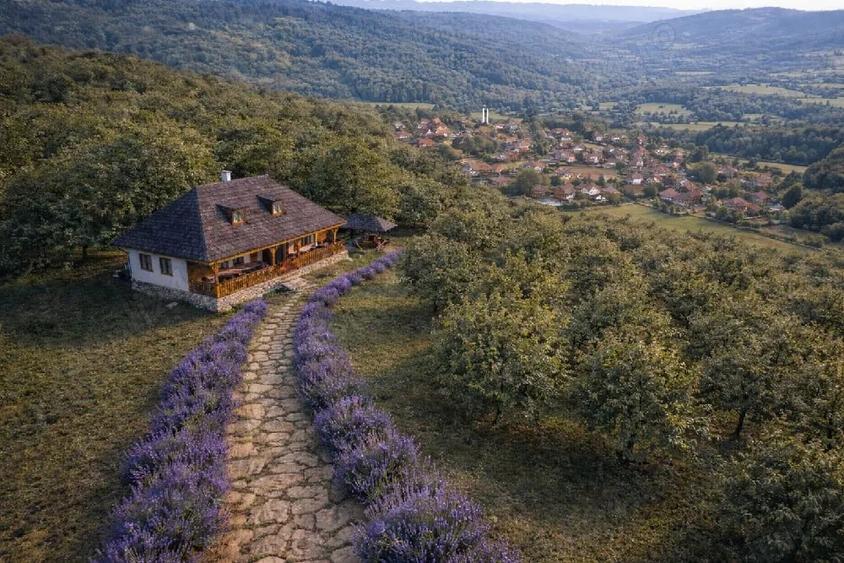 Teren de 7000 mp, în Dorobanț