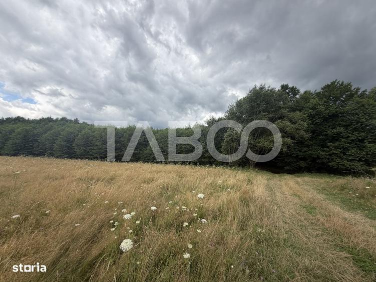 Teren extravilan 3650 mp latime 28 ml pretabil pentru cabana turistica - 3