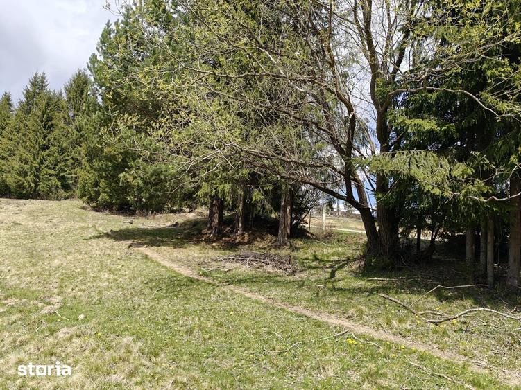 Teren de 3040 mp, în Beliș