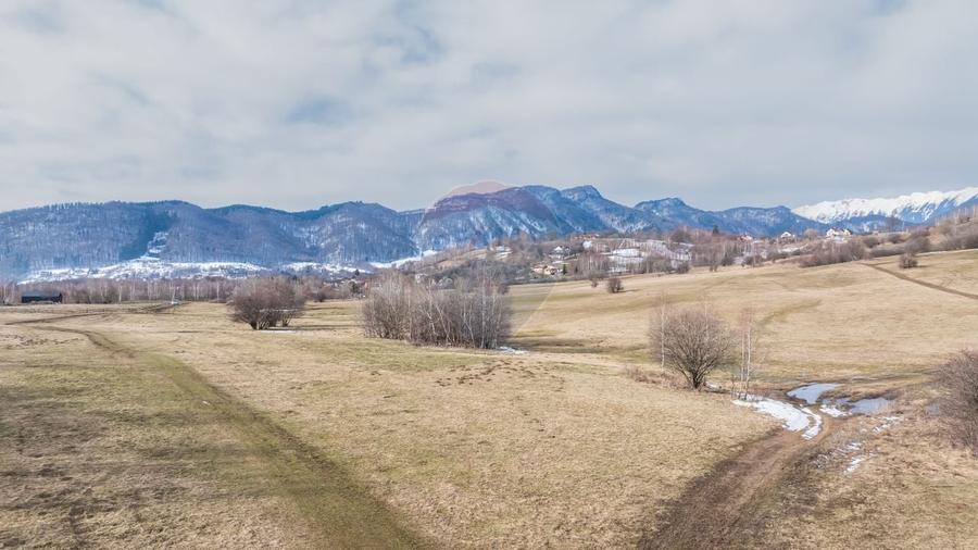 Teren Construcții intravilan de 4500 mp, în Tohanu Nou