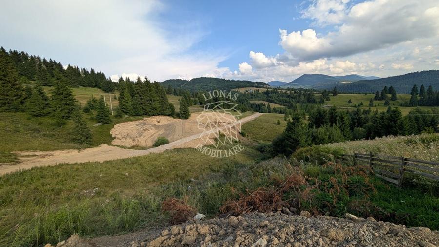 Teren Construcții intravilan de 1000 mp, în Piatra Fântânele