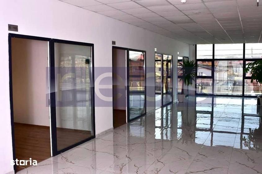 Spațiu comercial, de 760 mp, în Ion Creangă
