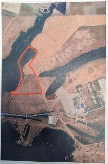 Teren Construcții intravilan de 10000 mp, în Sud
