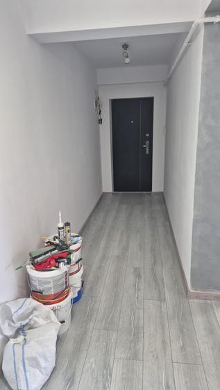 Apartament cu 2 camere în Vișan