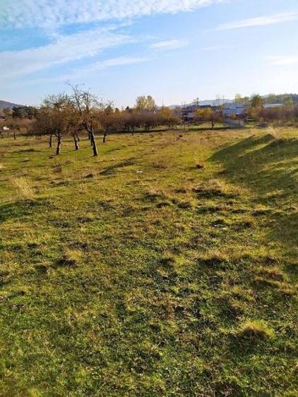 Teren intravilan DE VÂNZARE, NEGOCIABIL, Campina (jud Prahova), cartier Voila - 3