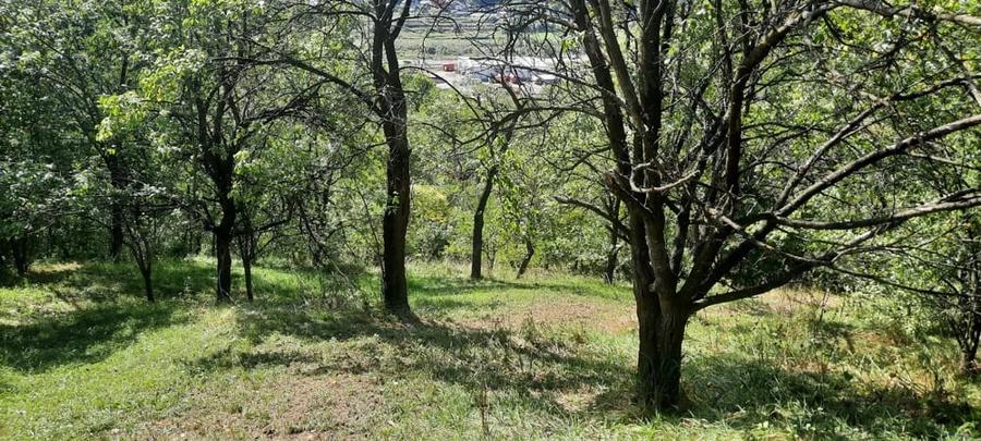 Teren de 8540 mp, în Breaza