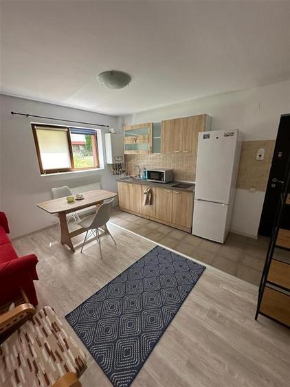 Apartament cu 2 camere semidecomandat, mobilat în Bună Ziua